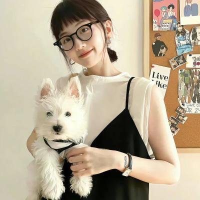 特洛伊艾迪