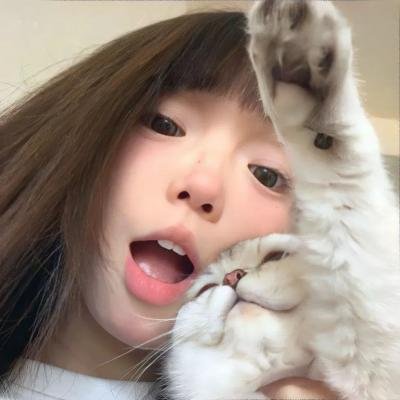 冰川鲨鱼